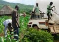 Herdsmen, farmers clash at least 100 times every month in Oyo state: NSCDC