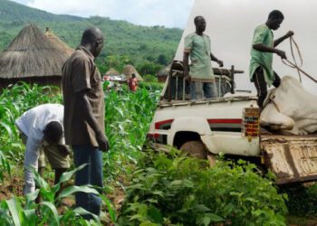 Herdsmen, farmers clash at least 100 times every month in Oyo state: NSCDC