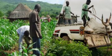 Herdsmen, farmers clash at least 100 times every month in Oyo state: NSCDC