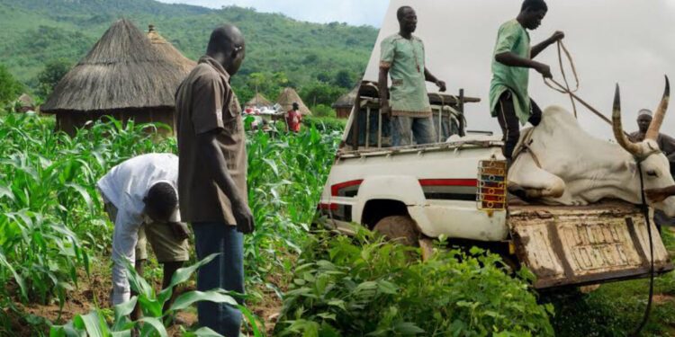 Herdsmen, farmers clash at least 100 times every month in Oyo state: NSCDC