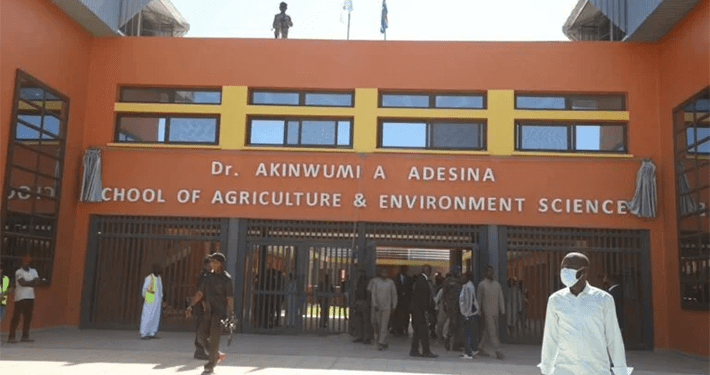 University of Gambia renames faculty after Akinwumi Adesina, President Barrow unveils plaque
