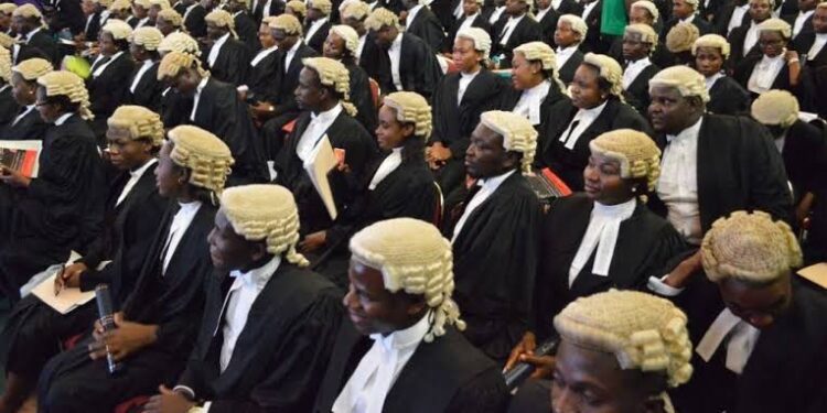 Idoma lawyers seek end to killings in Benue communities