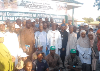 FG inaugurates artificial insemination, livestock care centres in Sokoto