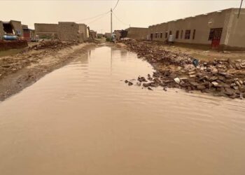 Malawi government calls for international support for flood victims