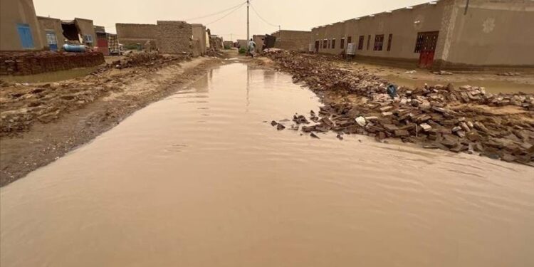 Malawi government calls for international support for flood victims