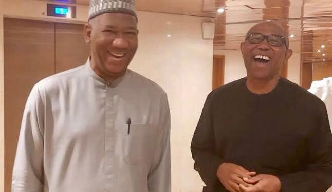Peter Obi is ‘political traveller’ shopping for presidential ticket: Datti Baba-Ahmed