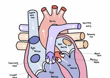 Cardiologist warns Nigerians against excessive consumption of energy drinks