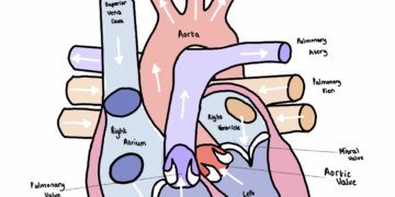 Cardiologist warns Nigerians against excessive consumption of energy drinks