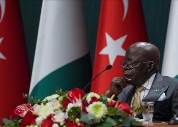 Nigerian Head of State Tinubu pledges to work together with Türkiye on security, trade
