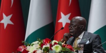 Nigerian Head of State Tinubu pledges to work together with Türkiye on security, trade