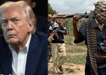 U.S. military strikes in Nigeria will continue if terrorists keep killing Christians: Trump