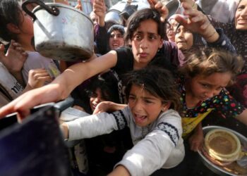 World Economic Forum: UN agencies warn against rising hunger, displacement