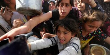 World Economic Forum: UN agencies warn against rising hunger, displacement