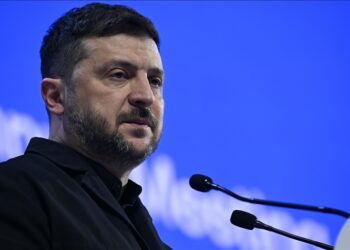 Zelenskyy says Donbas issue to be ‘key’ at trilateral talks in Abu Dhabi