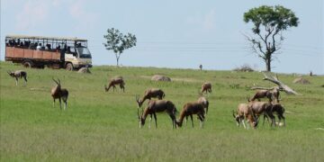 1 in 5 mammals faces extinction across South Africa, Lesotho, Eswatini