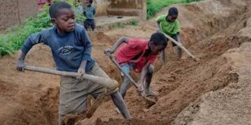 138 million children worldwide trapped in child labour, says ILO