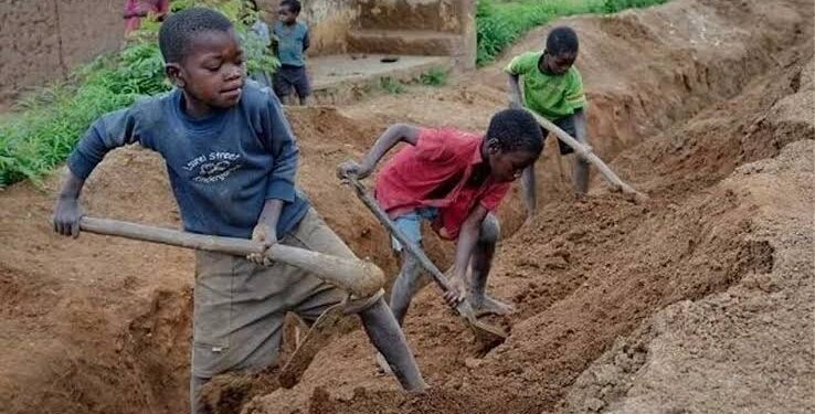 138 million children worldwide trapped in child labour, says ILO