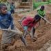 138 million children worldwide trapped in child labour, says ILO