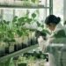 Russian scientists develop method for early detection of crop diseases
