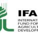 IFAD programme boosts rice, cassava production in Niger