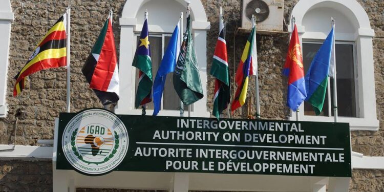 Sudan reactivates IGAD membership after 2-year hiatus