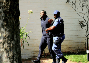 Ex-President Robert Mugabe’s son charged with attempted murder in South Africa