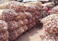 Nigeria produces 2.1 million metric tonnes of onions annually, says NOPPMAN
