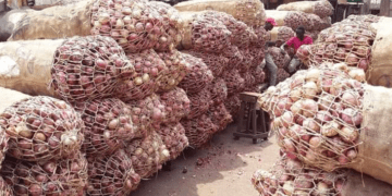 Nigeria produces 2.1 million metric tonnes of onions annually, says NOPPMAN