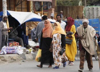 Tigray People’s Liberation Front presses African leaders to act as Ethiopia truce falters