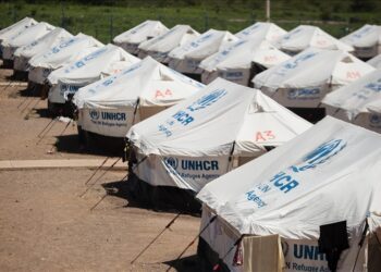 UN transfers 164 refugees from Libya to Rwanda in emergency evacuation