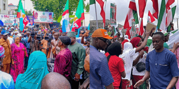 Apart from Tinubu, APC chieftains are runaway PDP stalwarts, says ex-Governor Lamido