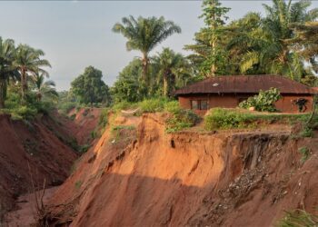 Dozens missing after deadly landslide in eastern DR Congo: Report