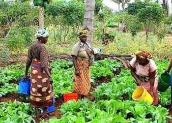 Kaduna unveils policy to boost women’s access to land, finance