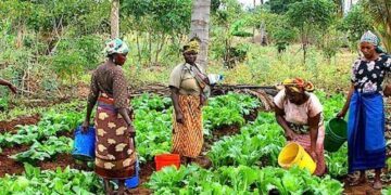 Kaduna unveils policy to boost women’s access to land, finance