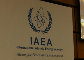 Rwanda making progress in adding nuclear power to its energy mix: IAEA