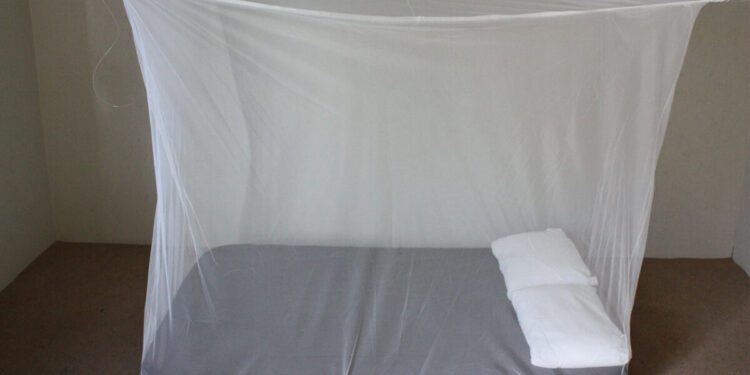 Borno govt lauds impacts of malaria project in rural communities