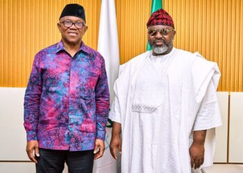 Arrest of Sheikh Umar after my visit undemocratic, suppressive: Peter Obi