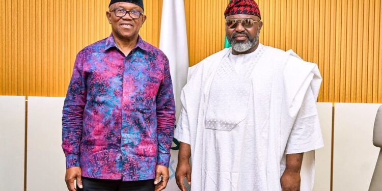 Arrest of Sheikh Umar after my visit undemocratic, suppressive: Peter Obi