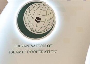 OIC denounces threat to Türkiye after interception of ballistic missile from Iran