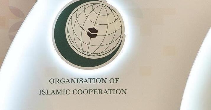 OIC denounces threat to Türkiye after interception of ballistic missile from Iran