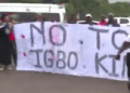 Protesters set vehicles, properties ablaze over installation of Igbo king in South Africa
