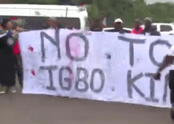 Protesters set vehicles, properties ablaze over installation of Igbo king in South Africa