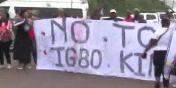 Protesters set vehicles, properties ablaze over installation of Igbo king in South Africa