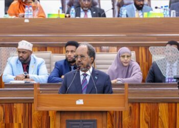 Somali parliament approves new constitution