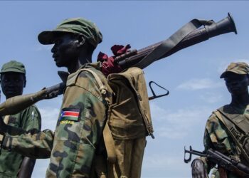 South Sudan army confirms involvement of officers in Jonglei civilian killings: Report