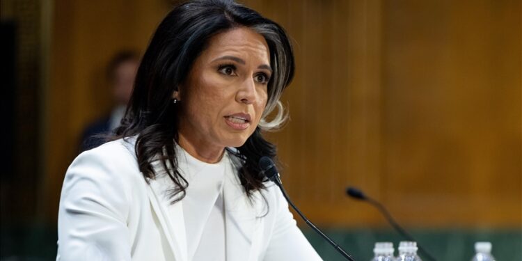 US intelligence chief warns Iran could strike American soil before 2035