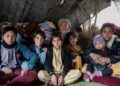4.2 million Afghans face acute shelter crisis in 2026: UN