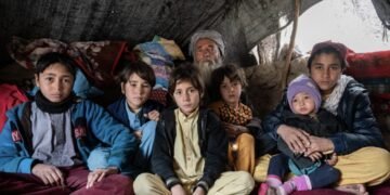 4.2 million Afghans face acute shelter crisis in 2026: UN
