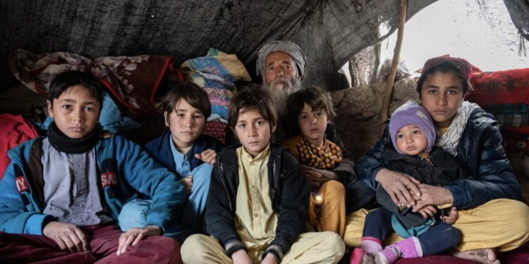 4.2 million Afghans face acute shelter crisis in 2026: UN