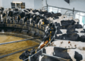 CSOs call on World Bank to stop financing factory farming